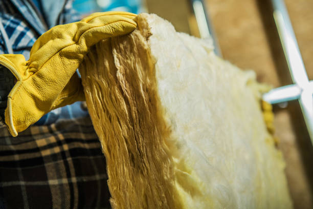 Best Specialized Insulation Services in Forest Oaks, NC